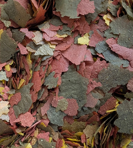 Tropical fish flake suitable - fish,