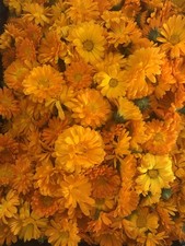Calendula balm 50ml - , natural