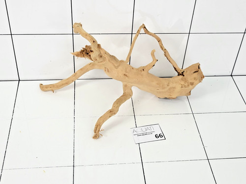 Premium aquarium natural wood - aquarium,