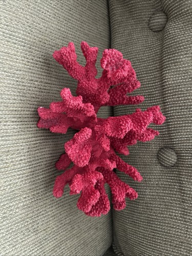 Artificial sea red coral - sea,