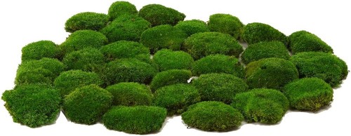 Real natural preserved - real,