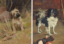 4 Cards - Terrier Puppy ~