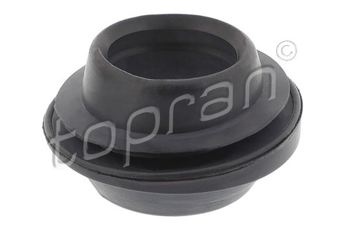 Fits audi cupra born seat - fits,