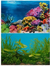 Aquarium Fish Tank Background
