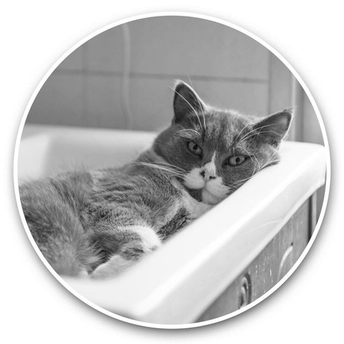 Vinyl stickers 15cm - x,