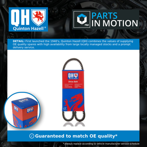 Drive belt fits austin mini - belt,