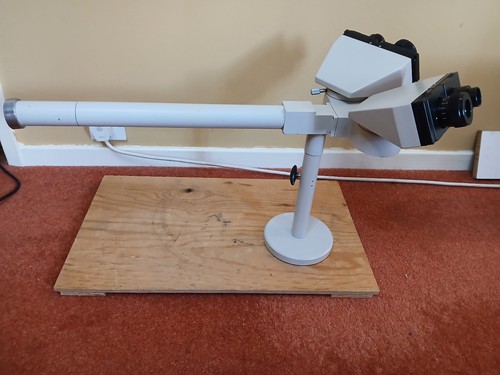 Olympus multi observation