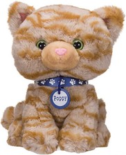 Poppy Maine Coon Dogs Home
