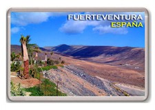 Fuerteventura Spain Fridge