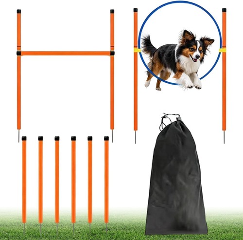 Dog agility course backyard - agility,