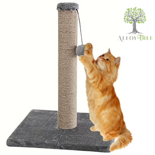 Cat scratching post - cat,