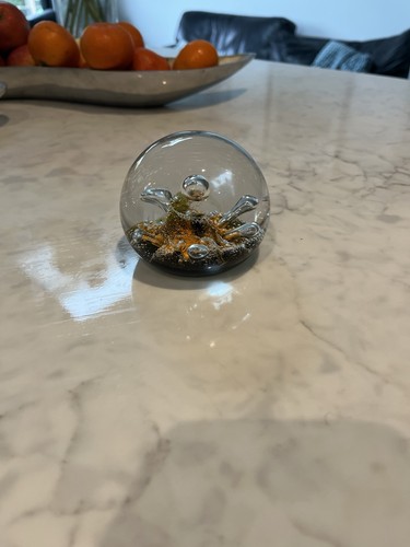 Caithness glass paperweight - caithness,