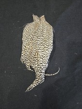 Grizzly Barred Variant Rooster