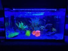 Fish Tank Fresh/ Salt Water With Filter, Heater & Accessories Fluorescent Light