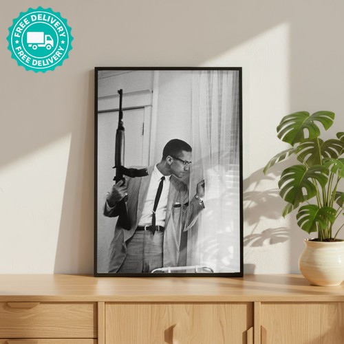 Malcom gun political icon - gun,