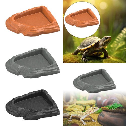 Reptile bathing pool - reptile,