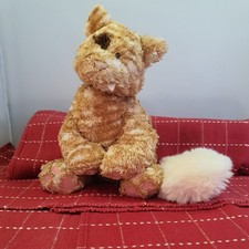 Captain Jack Ginger tabby