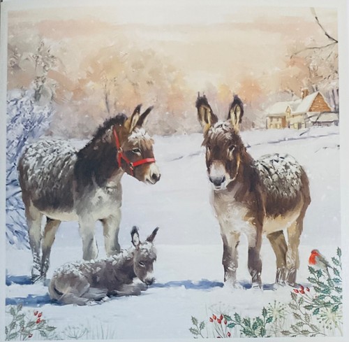 Charity christmas card snowy - charity, ~