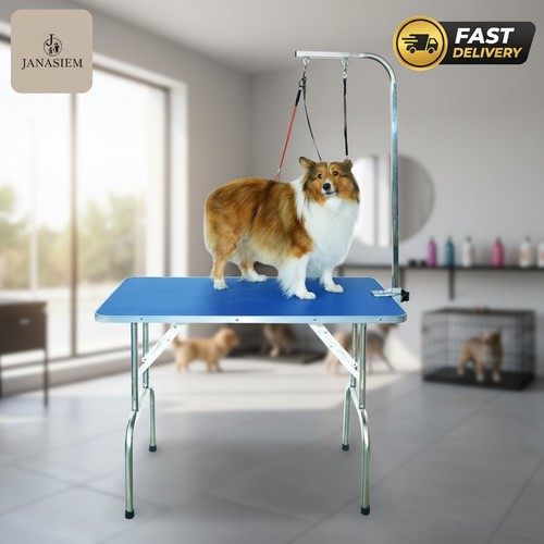 Professional pet grooming - pet,