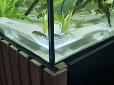 Fish Tank Corner Tunnel