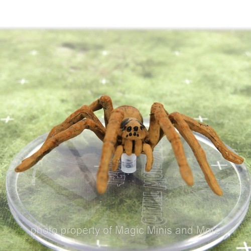 Wild shape polymorph giant - wild,