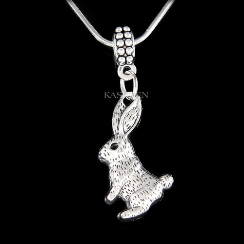 Easter bunny rabbit hare - bunny,