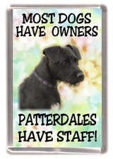 Patterdale Terrier Dog Fridge Magnet "Patterdales Have Staff!" by Starprint