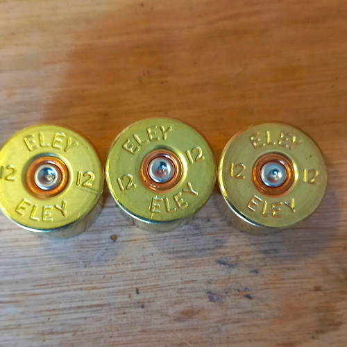 100 eley gauge empty - gauge, brass