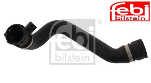 Lower right radiator - radiator, hose
