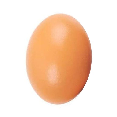 Fake wood chicken training egg - fake,