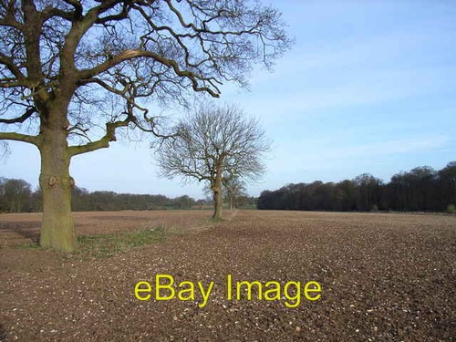 Photo 6x4 farmland above - photo,