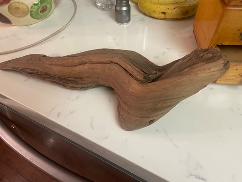 Natural driftwood decor - natural,