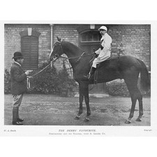 The Race Horse 'Forfarshire'