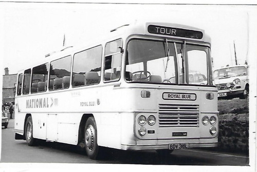 Bus photo bdv318l - photo:, royal