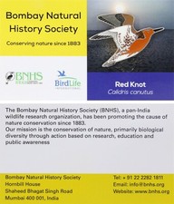 RSPB Pin Badge BNHS Red Knot International P01708