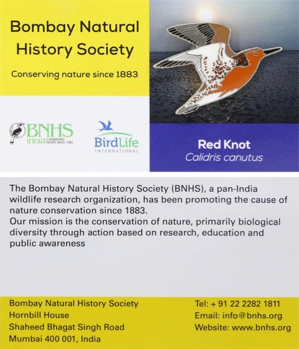 Rspb pin badge international - pin,