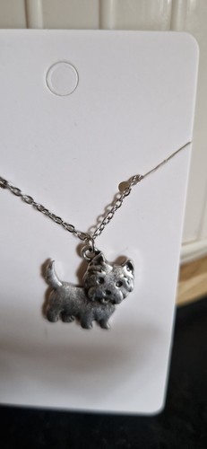 Cute west highland terrier dog - highland,