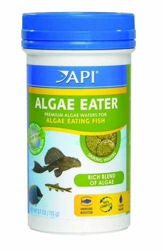 Api algae eater - algae,
