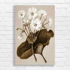 Elegant White Daisy Floral