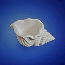 Set of 3 Shell Conches decorative, pot, candle jar