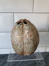 RARE Studio Potter Alan