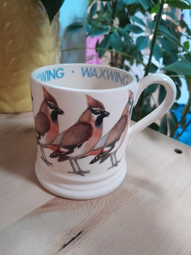 Emma bridgewater rare waxwing - ,
