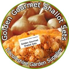 Shallot Sets. GOLDEN GOURMET. Multi Quantity Listing