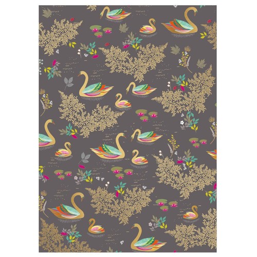 Swan black gold - swan,