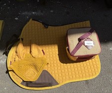 *Discontinued* Complete Lemieux Mustard Set