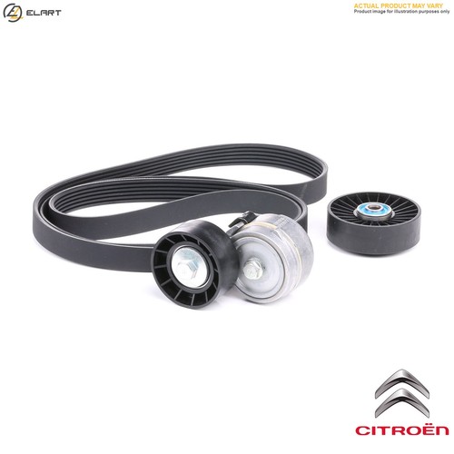 Genuine vribbed belt - vribbed,