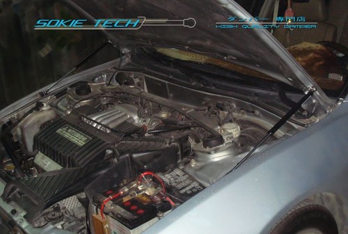 Black strut hood shock - shock, damper