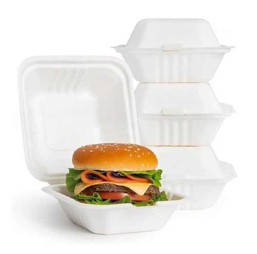 White disposable bagasse - white,