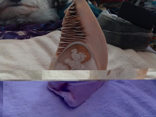 Original conch seashell carved - conch,