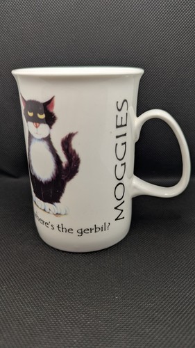 Moggies fluffy where s - moggies, 'fluffy,